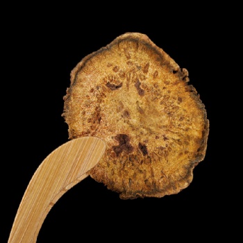 Da Huang Rheum Officinale