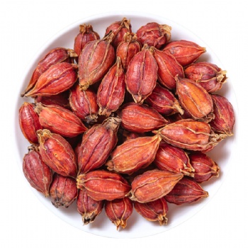 Zhi Zi Fructus Gardeniae