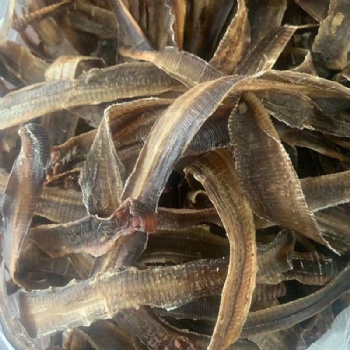 Di Long Lumbricus