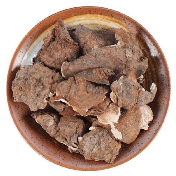 Fu Shen Poria with Hostwood