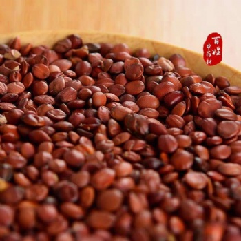 Chao Suan Zao Ren Stir-fried Jujube Seeds