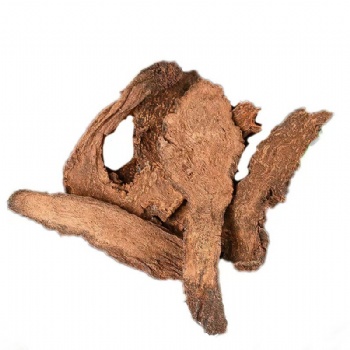 Suo Yang Cynomorium Songaricum