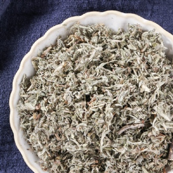 Yin Chen Oriental Wormwood