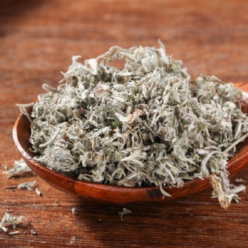 Yin Chen Oriental Wormwood