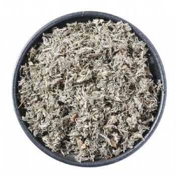 Yin Chen Oriental Wormwood