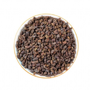 Nv Zhen  Zi Glossy Privet Feuit