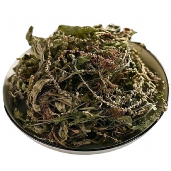 Che Qian Cao Plantain Herb