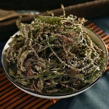 Che Qian Cao Plantain Herb