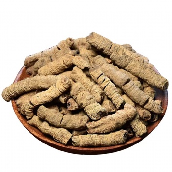 Ba Ji Tian Morinda Officinalis