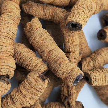 Ba Ji Tian Morinda Officinalis