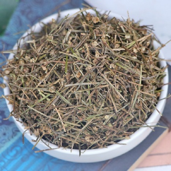 Bai Hua She Cao White Flower Snake Grass
