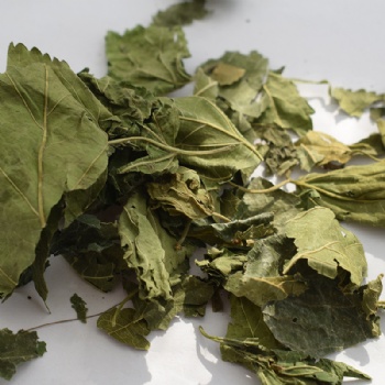 Sang Ye Folium Mori