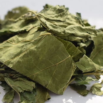 Sang Ye Folium Mori