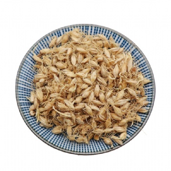 Mai Ya fructus hordei germinatus