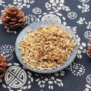 Mai Ya fructus hordei germinatus