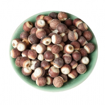 Qian Shi Gordon euryale seed Semen Euryales