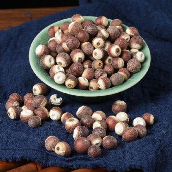 Qian Shi Gordon euryale seed Semen Euryales