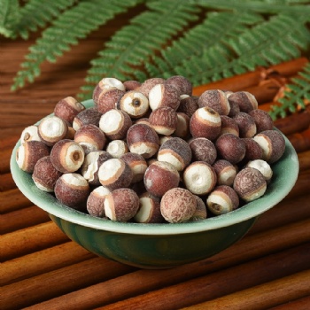 Qian Shi Gordon euryale seed Semen Euryales