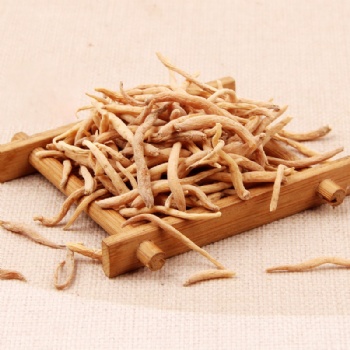 Tai Zi Shen radix pseudostellariae false starwort root