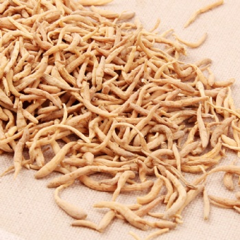 Tai Zi Shen radix pseudostellariae false starwort root