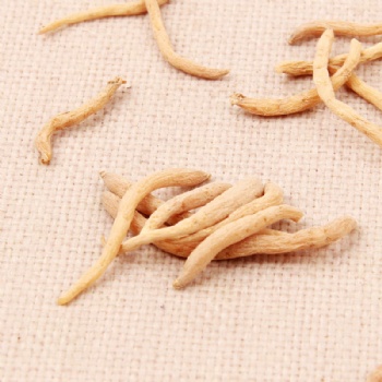 Tai Zi Shen radix pseudostellariae false starwort root