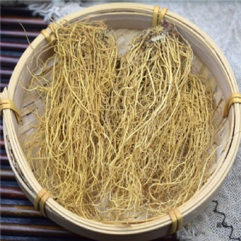 Xi Xin manchurian wildginger Asari Radix et Rhizoma