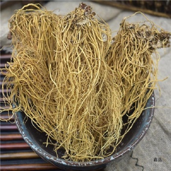 Xi Xin manchurian wildginger Asari Radix et Rhizoma