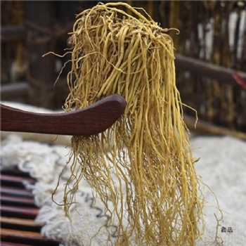 Xi Xin manchurian wildginger Asari Radix et Rhizoma