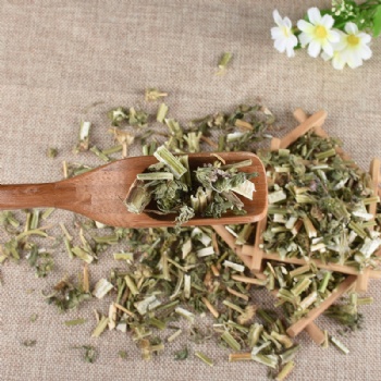 Yi Mu Cao Common Motherwort Herb Leonuri Herba