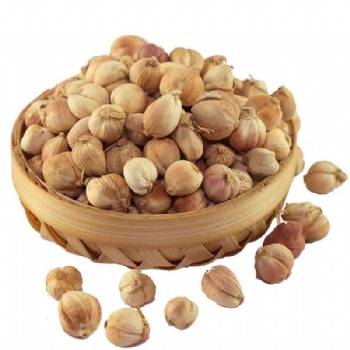 Bai Dou Kou white cardamom Wurfbainia vera