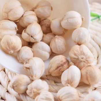 Bai Dou Kou white cardamom Wurfbainia vera