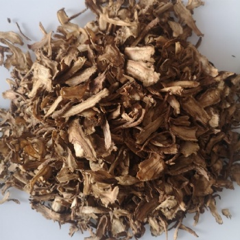 Chao Dang Gui Chinese Angelicae Sinensis Radix