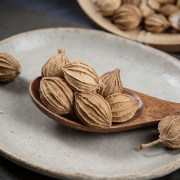 Sha Ren villous amomum fruit Amomi Fructus