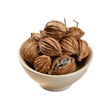 Sha Ren villous amomum fruit Amomi Fructus