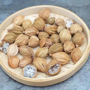 Sha Ren villous amomum fruit Amomi Fructus