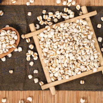 Chao Yi Yi Ren Jobstears Seed Coicis Semen