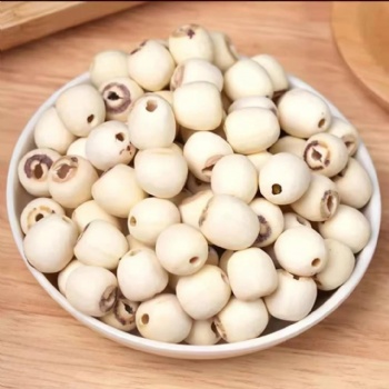 Lian Zi lotus seed