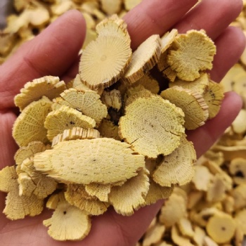 Mu Tong akebiaquinata Akebia Stem