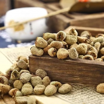 Fu Pen Zi Palmleaf Raspberry Fruit Rubi Fructus