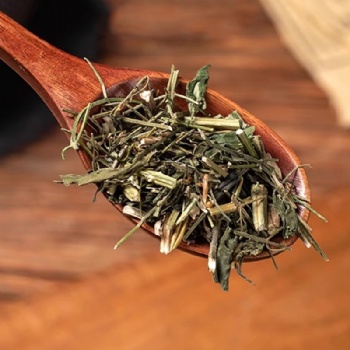 Chuan Xin Lian common Andrographis herb