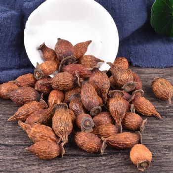 Jin Ying Zi Cherokee rose Rosae Laevigatae Fructus