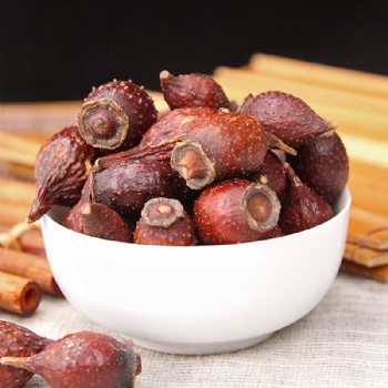 Jin Ying Zi Cherokee rose Rosae Laevigatae Fructus