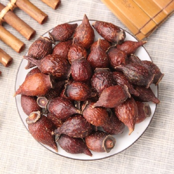 Jin Ying Zi Cherokee rose Rosae Laevigatae Fructus