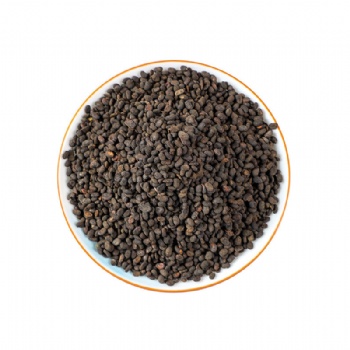 Bu Gu Zhi Malaytea Scurfpea Fruit Psoraleae Fructus