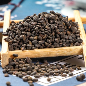 Bu Gu Zhi Malaytea Scurfpea Fruit Psoraleae Fructus