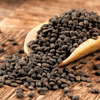 Bu Gu Zhi Malaytea Scurfpea Fruit Psoraleae Fructus