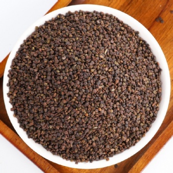 Sha Yuan Zi flatstem milkvetch seed Astragali Complanati Semen