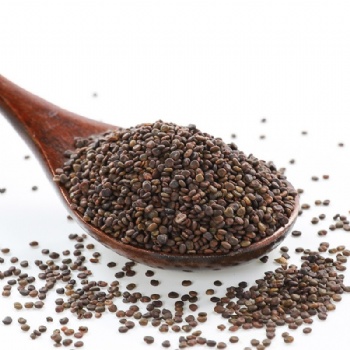 Sha Yuan Zi flatstem milkvetch seed Astragali Complanati Semen