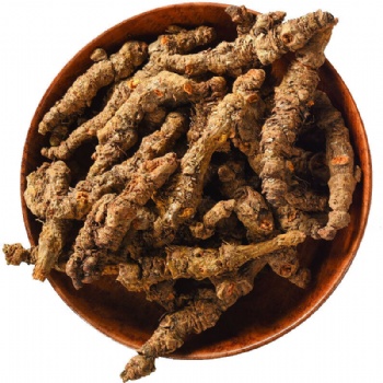 Huang Lian Coptis Root Chinese Goldthread