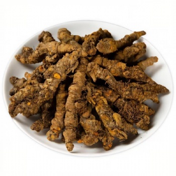 Huang Lian Coptis Root Chinese Goldthread